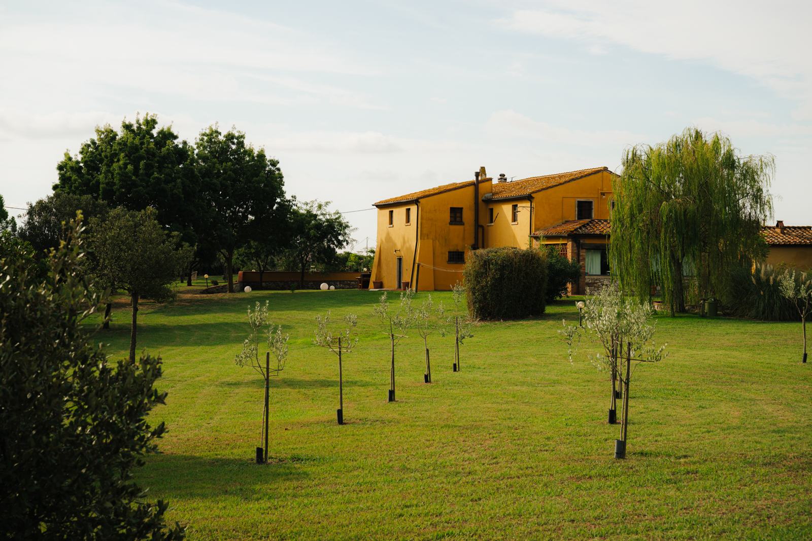 La casa e il giardino con giovani ulivi