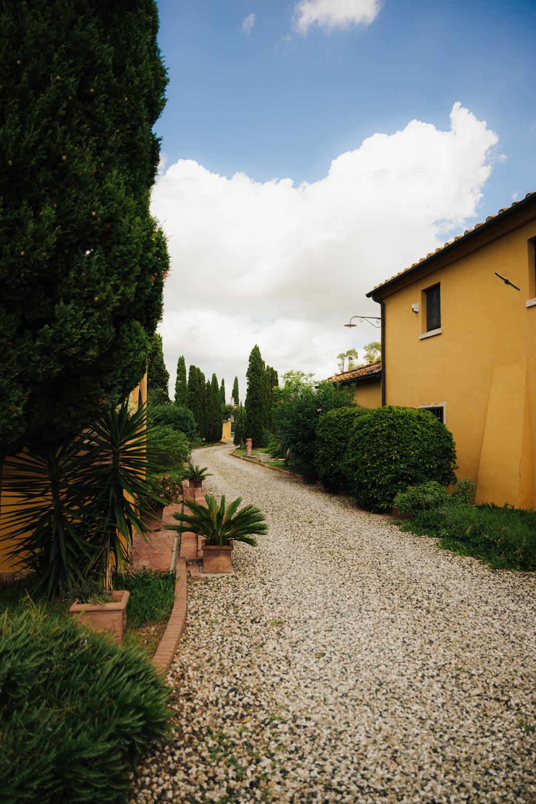 Viale di cipressi con vialetto in ghiaia verso la casa